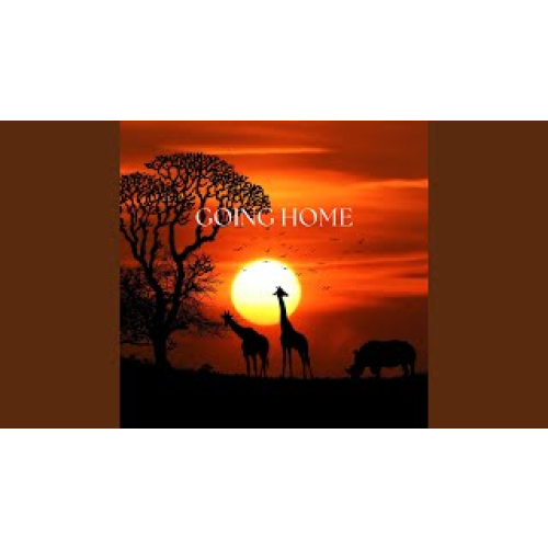 Going Home Africa By Kwaz